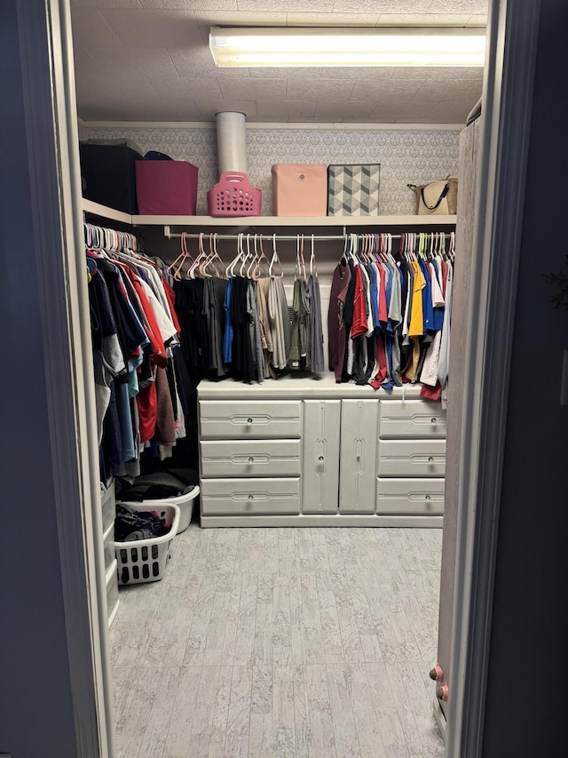 walk in closet with wood finished floors