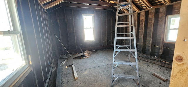 miscellaneous room with vaulted ceiling and a wealth of natural light