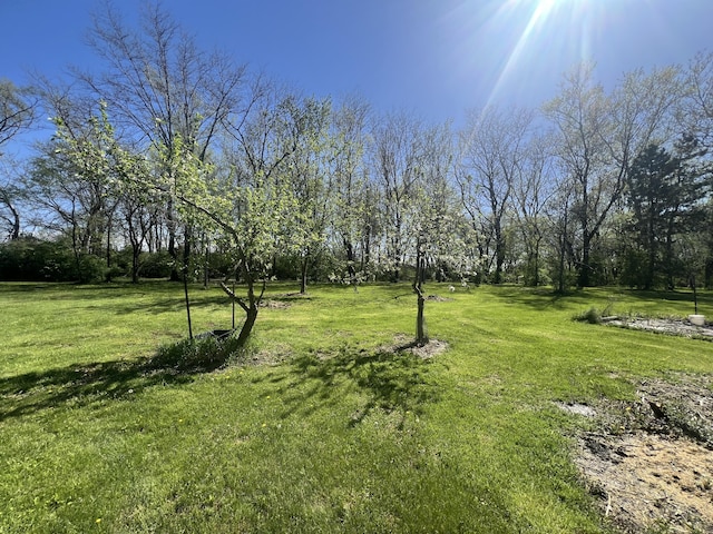 231 Mangus Rd, Union City, OH 45390 - photo 13