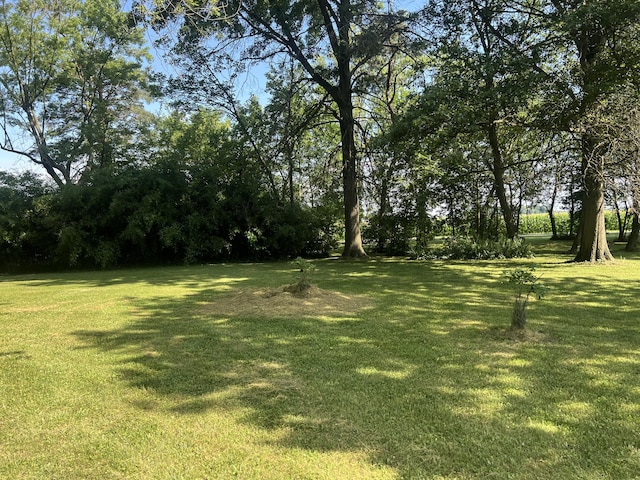 231 Mangus Rd, Union City, OH 45390 - photo 6