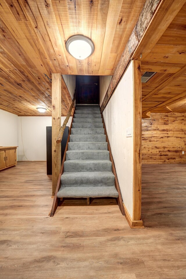 5341 Riffle Rd, Ansonia, OH 45303 - staircase featuring wooden ceiling, wood finished floors, and wood walls