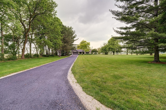 5341 Riffle Rd, Ansonia, OH 45303 - view of home's community with a yard and a garage