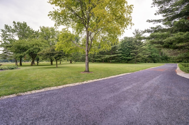 5341 Riffle Rd, Ansonia, OH 45303 - surrounding community featuring a lawn