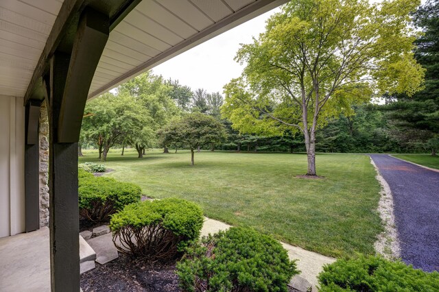 5341 Riffle Rd, Ansonia, OH 45303 - view of green lawn featuring view of wooded area