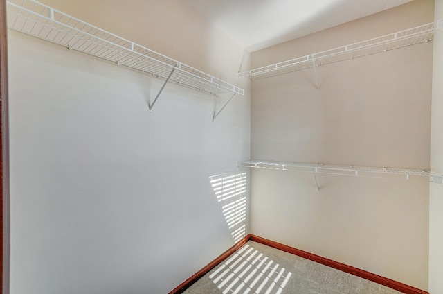 spacious closet with carpet floors