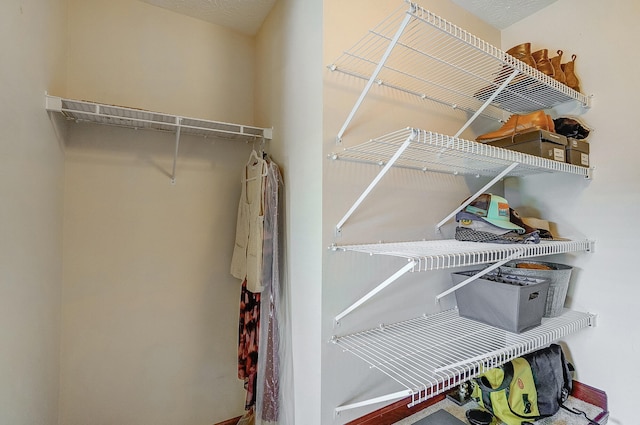 view of walk in closet