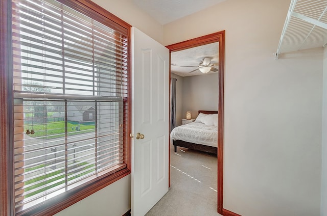 hallway featuring a textured ceiling, carpet flooring, and plenty of natural light