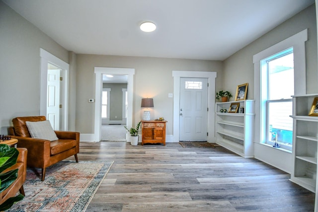 entrance foyer featuring hardwood / wood-style flooring