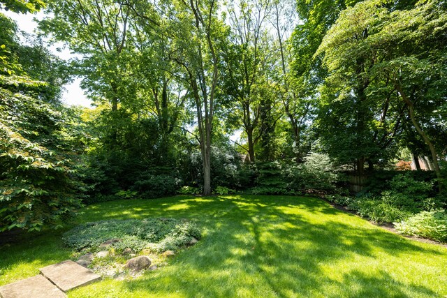 125 Hawthorne Rd, Springfield, OH 45504 - view of grassy yard