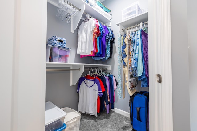 255 N Pine St, Lakeview, OH 43331 - spacious closet featuring carpet flooring