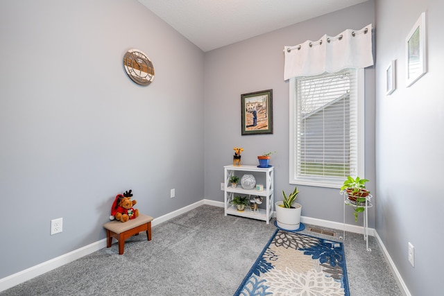 255 N Pine St, Lakeview, OH 43331 - misc room featuring carpet flooring