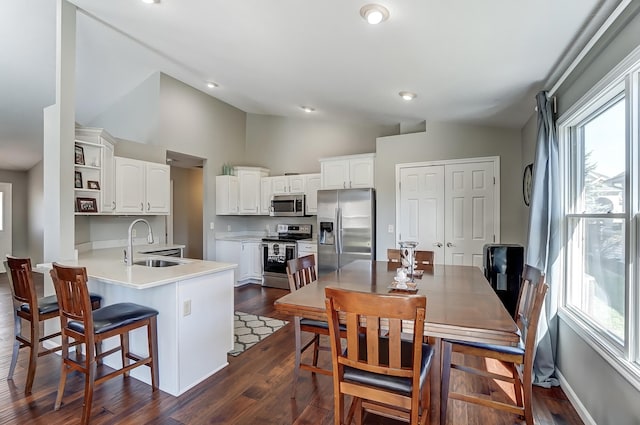 kitchen with plenty of natural light, stainless steel appliances, a peninsula, and a sink