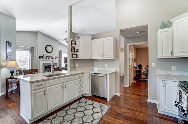 kitchen featuring stainless steel appliances, dark wood-style flooring, a fireplace, a sink, and a ceiling fan