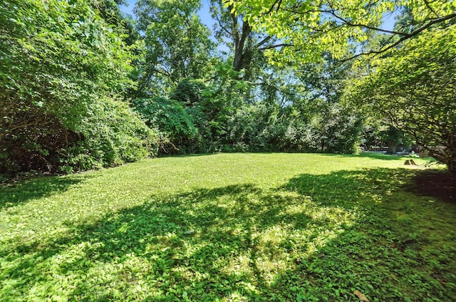 169 Trailwoods Dr, Dayton, OH 45415 - photo 73