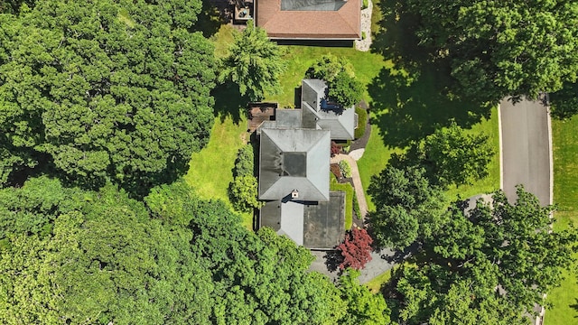 169 Trailwoods Dr, Dayton, OH 45415 - photo 80