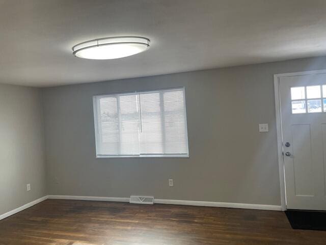 entryway with dark wood-type flooring and a wealth of natural light