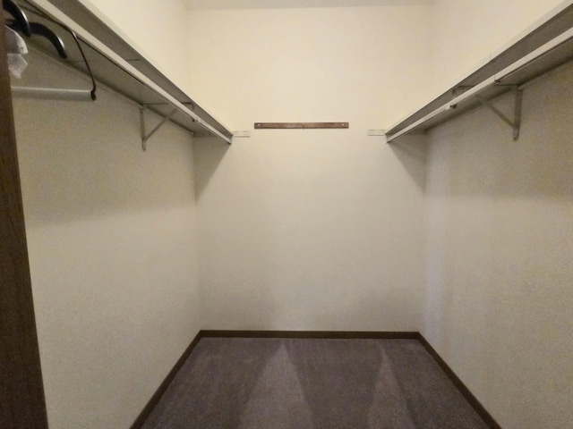 3032 Armsgate Rd Unit 25, Springfield, OH 45503 - walk in closet featuring carpet flooring