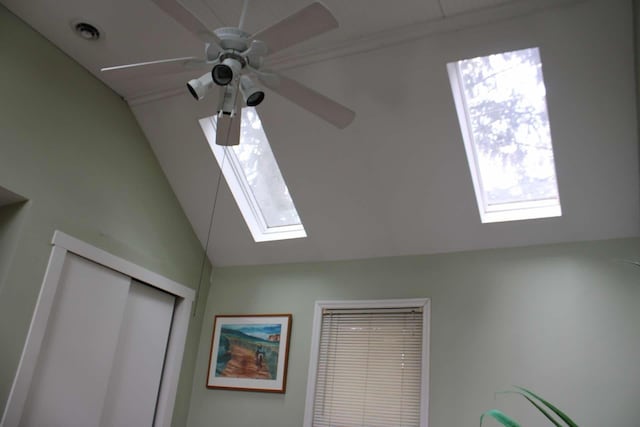 details featuring ceiling fan and a skylight