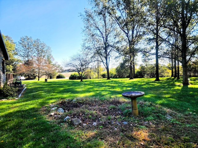 9115 New Bremen New Knoxville Rd, New Knoxville, OH 45871 - view of grassy yard