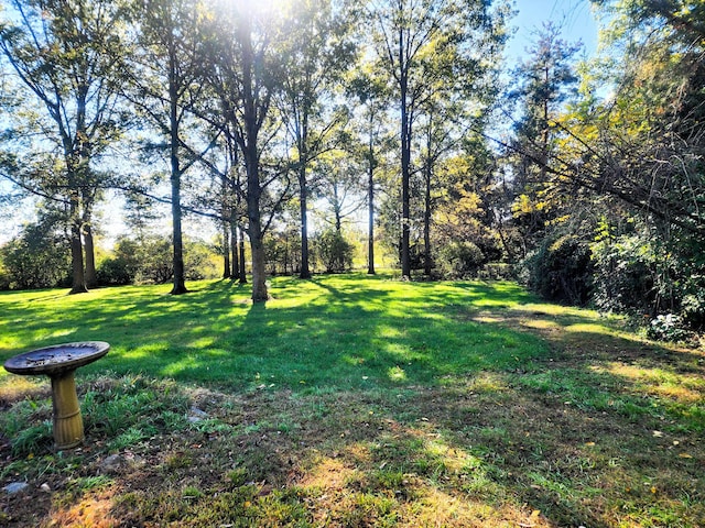 9115 New Bremen New Knoxville Rd, New Knoxville, OH 45871 - view of grassy yard