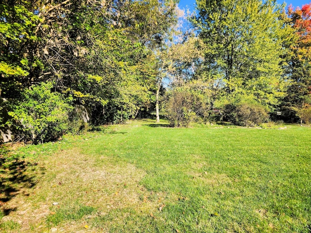 9115 New Bremen New Knoxville Rd, New Knoxville, OH 45871 - view of green lawn