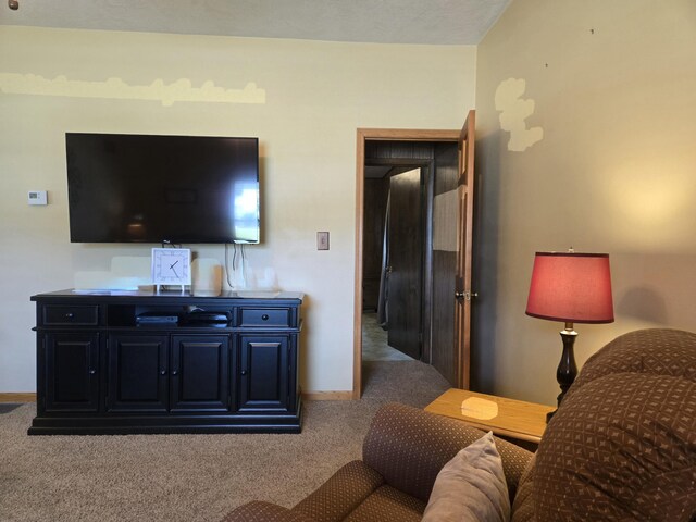 314 E N St, Coldwater, OH 45828 - photo 21