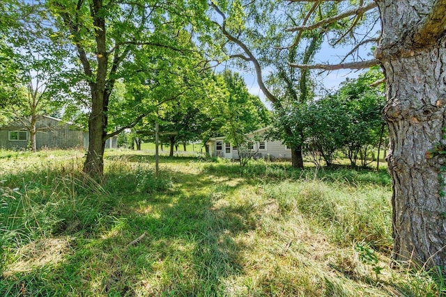 7888 Mingo Lewisburg Rd, North Lewisburg, OH 43060 - photo 21