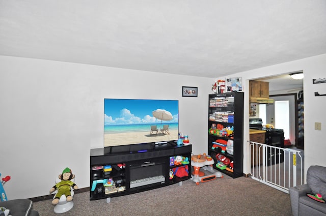 3847 Drew Rd, Arcanum, OH 45304 - view of carpeted living area