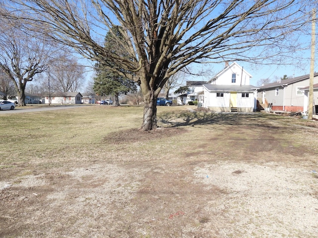 view of yard featuring entry steps