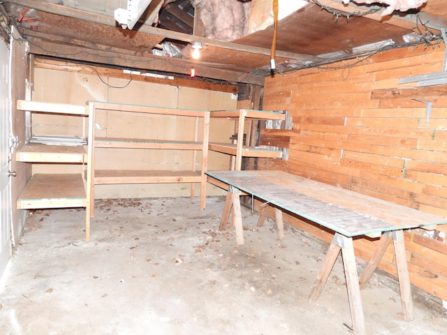 unfinished basement with wooden walls