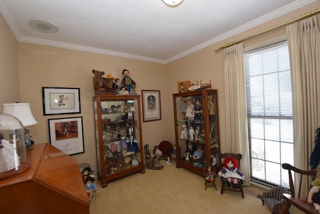 sitting room featuring crown molding and carpet floors