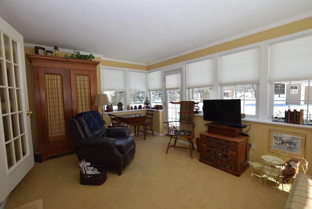 interior space featuring crown molding, a wealth of natural light, and light colored carpet