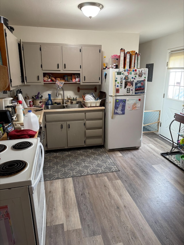 kitchen with sink, gray cabinetry, white appliances, and light wood-type flooring