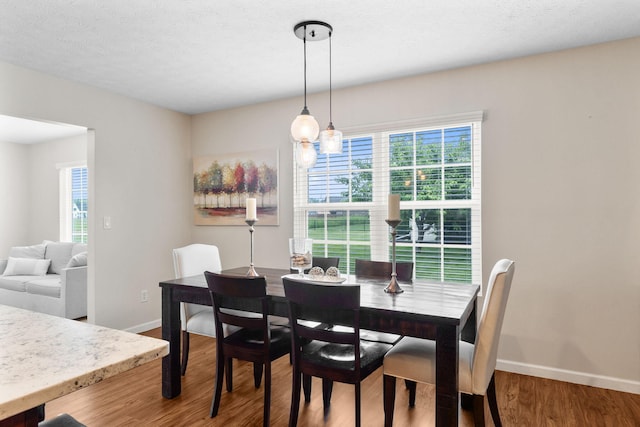 170 Fox Harbor Dr, Troy, OH 45373 - dining room featuring plenty of natural light and wood finished floors