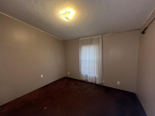 empty room featuring a textured ceiling and carpet