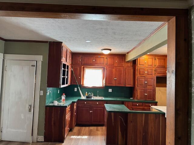 kitchen featuring a sink, light wood-type flooring, a textured ceiling, and ornamental molding