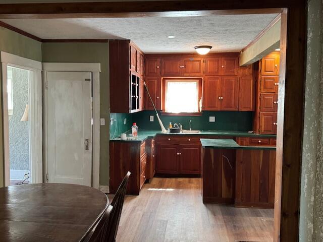 kitchen with a sink, ornamental molding, a textured ceiling, light wood-style flooring, and decorative backsplash