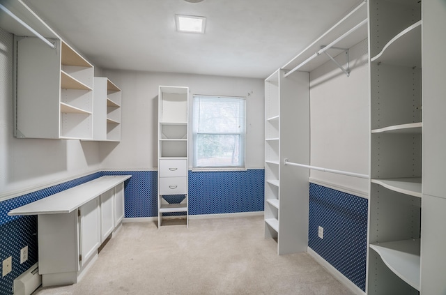 walk in closet with light colored carpet