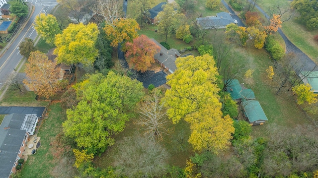 bird's eye view