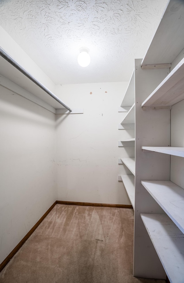 spacious closet with carpet floors