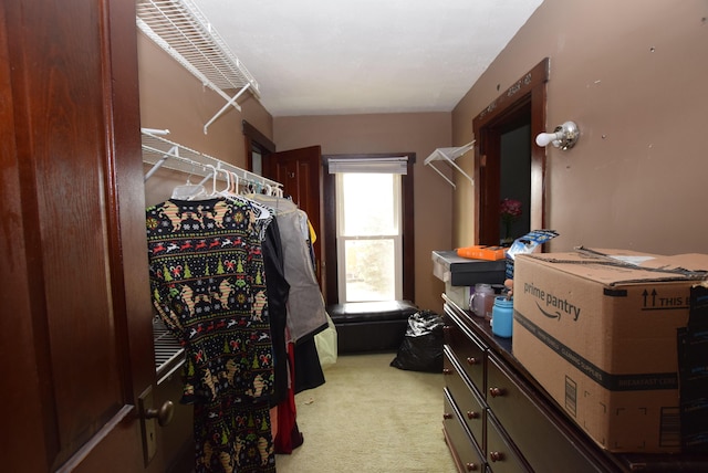 spacious closet with carpet