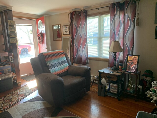 sitting room featuring a healthy amount of sunlight and hardwood / wood-style floors