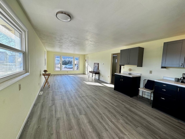 kitchen with wood-type flooring and a textured ceiling