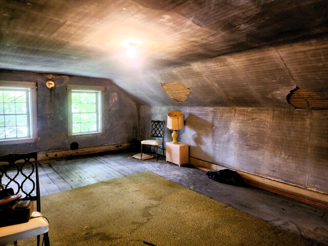 120 N Perry St, Saint Marys, OH 45885 - bonus room with wood-type flooring and vaulted ceiling