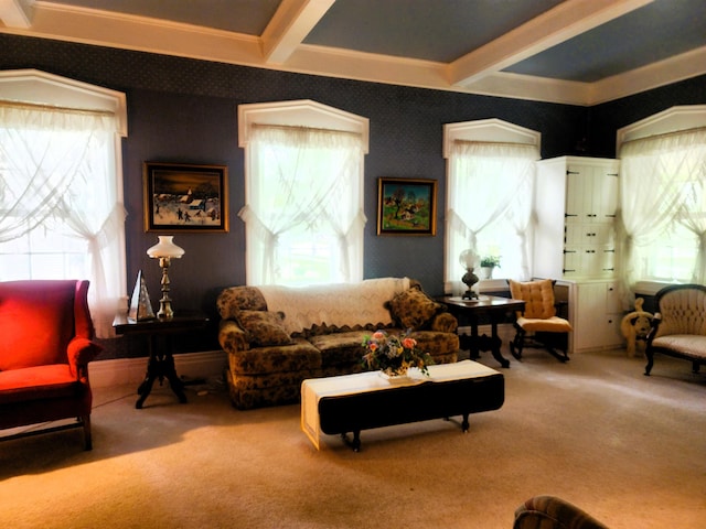 120 N Perry St, Saint Marys, OH 45885 - carpeted living room with beam ceiling