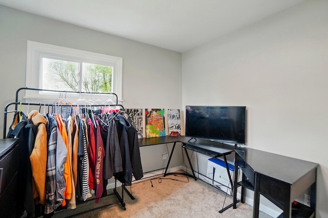 spacious closet featuring carpet flooring