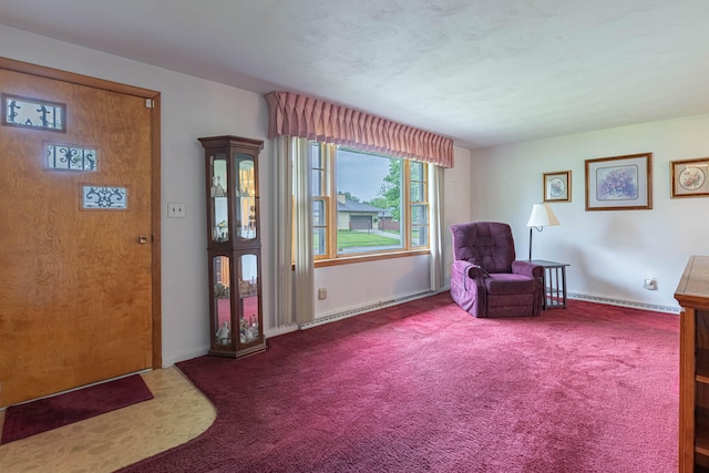 4833 Mesa Ln, Springfield, OH 45503 - living area featuring carpet flooring and a baseboard heating unit