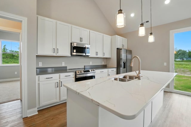 1505 Kingsgate Rd, Springfield, OH 45503 - kitchen featuring appliances with stainless steel finishes, a sink, an island with sink, wood finished floors, and plenty of natural light