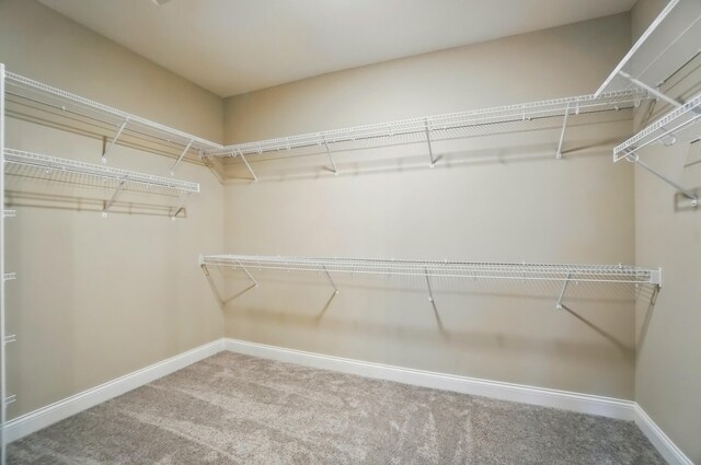 1505 Kingsgate Rd, Springfield, OH 45503 - spacious closet featuring carpet flooring