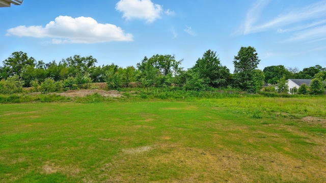 1505 Kingsgate Rd, Springfield, OH 45503 - view of yard